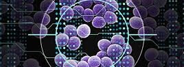 Un estudio innovador para predecir antibióticos a partir de IA